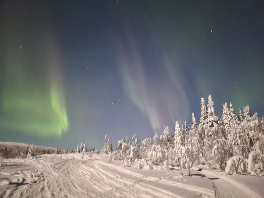 Hyr denna stuga i Föllinge på 74 m². 6 sängplatser. 8 500 - 12 500 kr per vecka. Se bilder och tillgänglighet här.