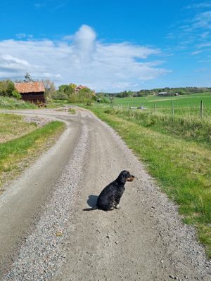 Charmiga MormorGretas stuga - Bild 39