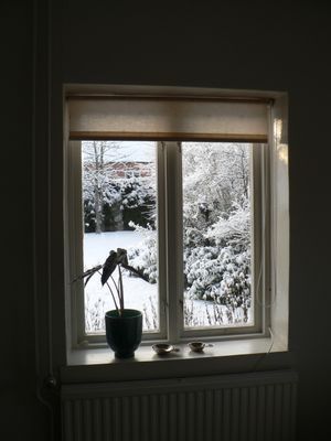 Theas hus på Österlen - Bild 53