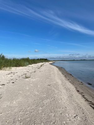 Bild 4 på Kalkstenslada i naturskönt område på Sudret.
