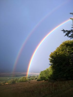 Stuga på Hallandsåsen med fantastisk utsikt - Bild 14