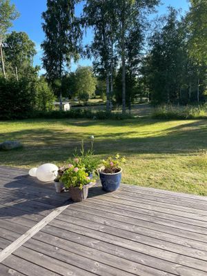 Havsnära idyll med skärgårdskänsla