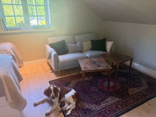 Bild 4 på Mysigt fristående boende i Trosa