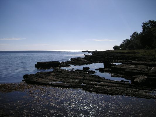 VIK Österlen - Unik 1800-tals Fiskelänga uthyres - Bild 40