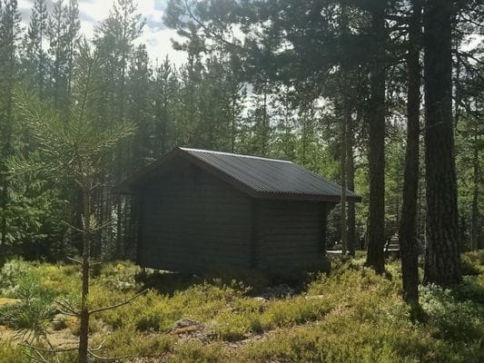 Brandtjäl Forest Cabins - Ingen stad. Bara skogen - Bild 7