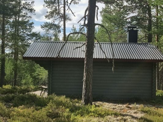Brandtjäl Forest Cabins - Ingen stad. Bara skogen - Bild 8
