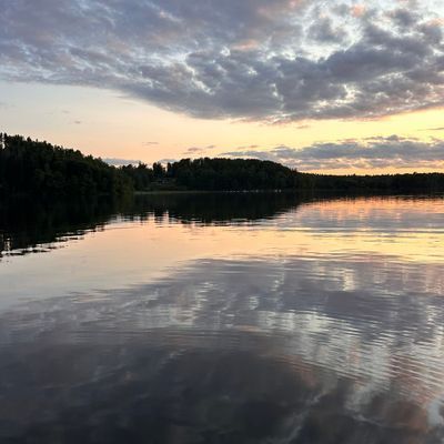 Stuga med fiskebåt 40 min från Stockholm - Bild 34