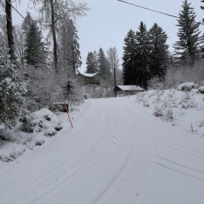 Stuga med fiskebåt 40 min från Stockholm - Bild 49