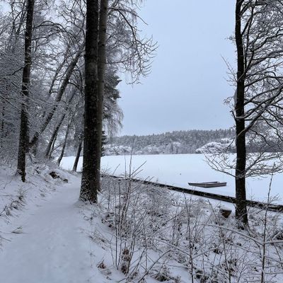 Stuga med fiskebåt 40 min från Stockholm - Bild 50