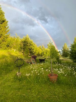 Hyr hus i Järvsö - Bild 8