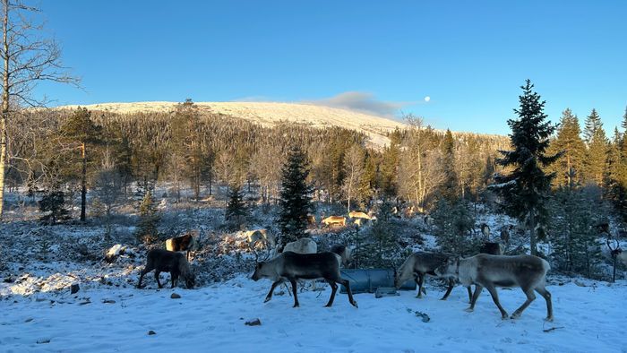 Fantastisk nybyggd stuga i mysiga Fjätervålen - Bild 30