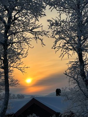 Magisk panorama utsikt (830möh) - söderläge - Bild 29