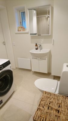 badrum med toalett, tvättmaskin och dusch