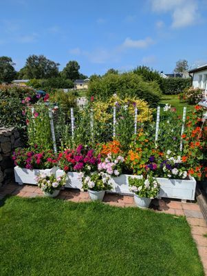 Falkenberg Olofsbo Havsbad - Bild 15