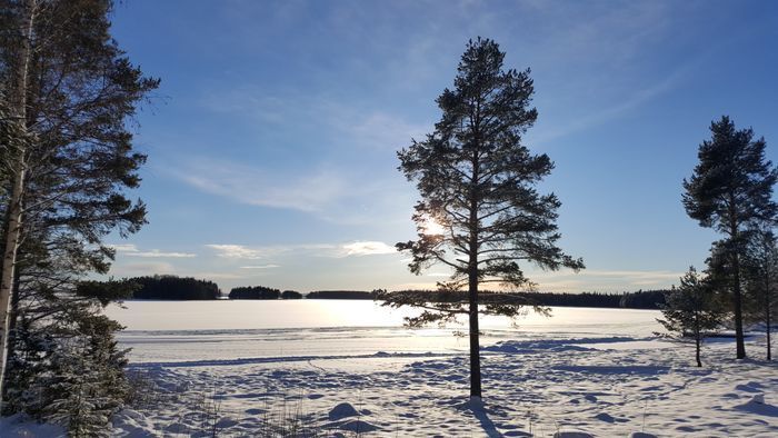 Hyr denna stuga i Orsa på 55 m². 4 sängplatser. 7 000 - 8 000 kr per vecka. Se bilder och tillgänglighet här.
