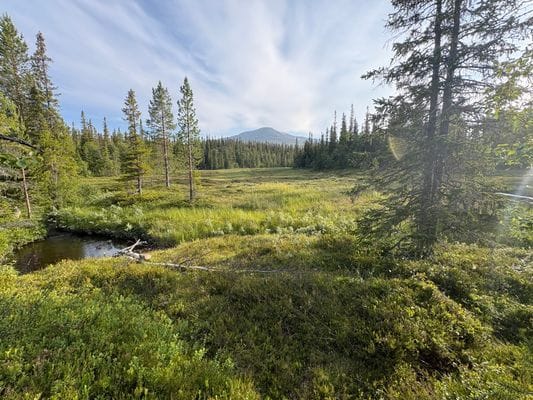 Fjällstuga i natursköna Snasahögarna - Bild 12