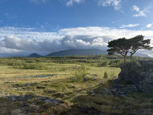 Fjällstuga i natursköna Snasahögarna - Bild 13