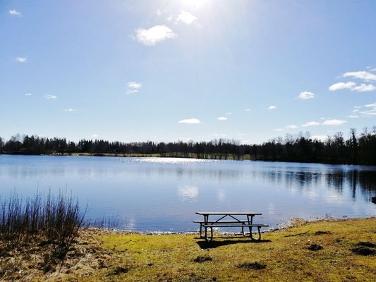 Fritidhus Smaland nära Bolmen bada fiska kanu - Bild 8