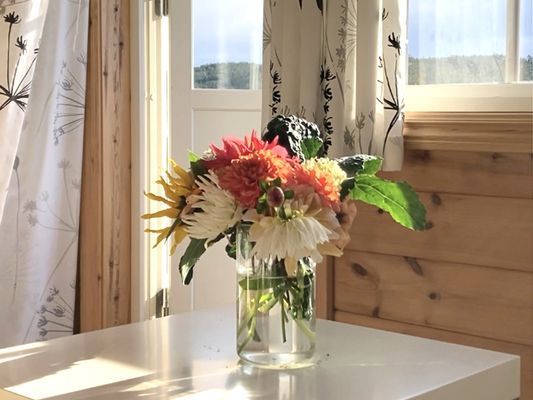 Stuga i bästa läge på Siljan Airpark - Bild 12