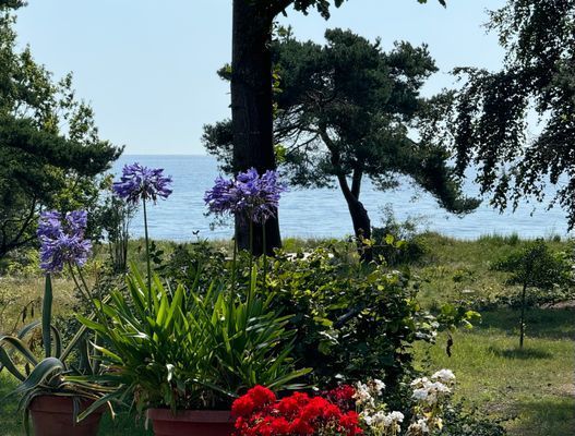 Villa vid stranden med havsutsikt - Bild 13