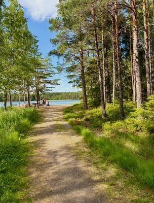 Fritidshus nära sjö och natur - Bild 18