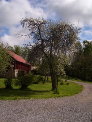 Norrgård en lyxig lägenhet på landet - Bild 40