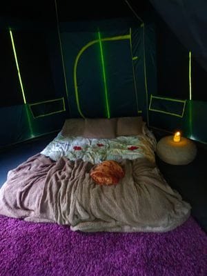 Sjönära avkoppling intill skogsbrynet - Bild 30