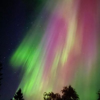 Villa Ragunda - Bild 45