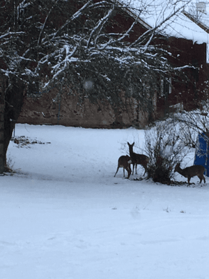 Norrgård en lyxig lägenhet på landet - Bild 34