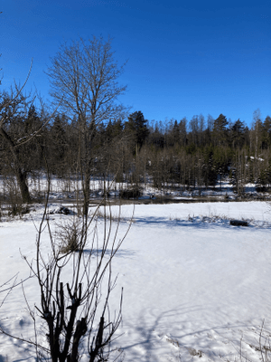 Norrgård en lyxig lägenhet på landet - Bild 31