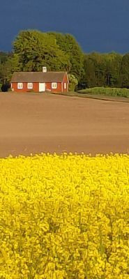 Stuga i norra skåne - Bild 25