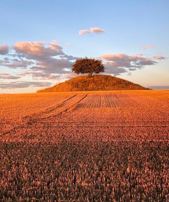 Varsamt renoverad tegellänga i liten kyrkby - Bild 21