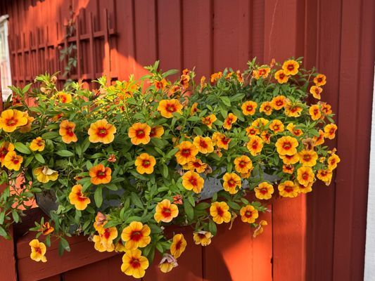 Bild 4 på Sommarstuga nära badbrygga Vaxholm Rindö Stockholm