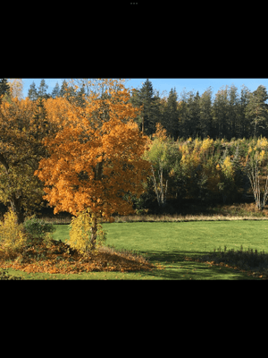 Norrgård en lyxig lägenhet på landet - Bild 38