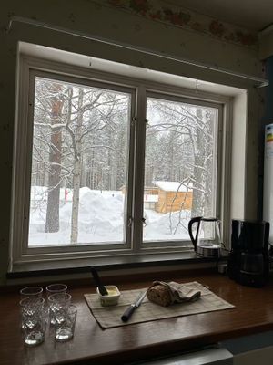 Vasaloppsgården med egen hockeyrink - Hela boendet - Bild 14