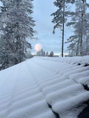 Vasaloppsgården med egen hockeyrink - Hela boendet - Bild 19