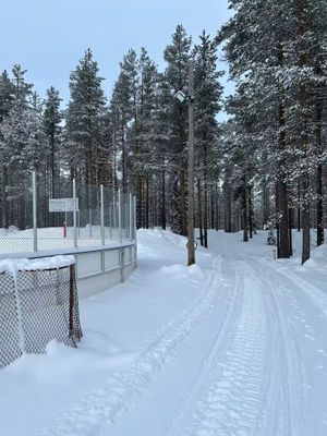 Vasaloppsgården med egen hockeyrink - Hela boendet - Bild 24