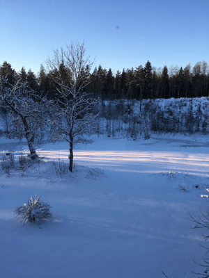 Norrgård en lyxig lägenhet på landet - Bild 30