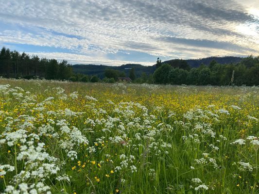 Villa Ragunda - Bild 40