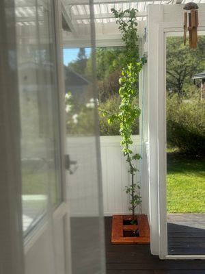 Fint, bekvämt och centralt hus i Höga Kusten - Bild 14