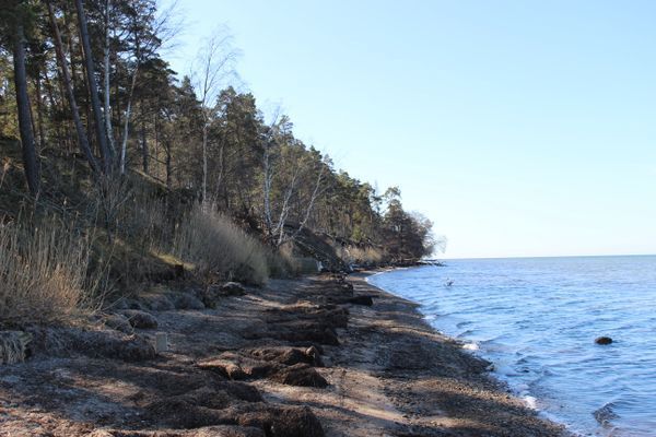 Lilla Sommarnöjet - Bild 20