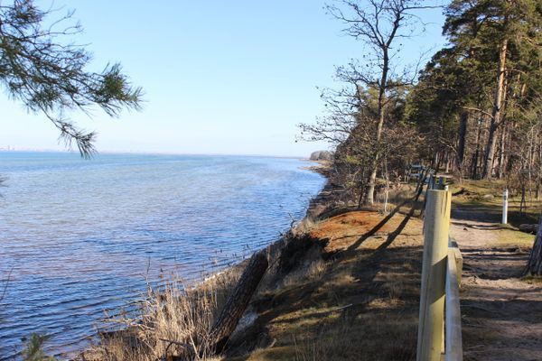 Lilla Sommarnöjet - Bild 23