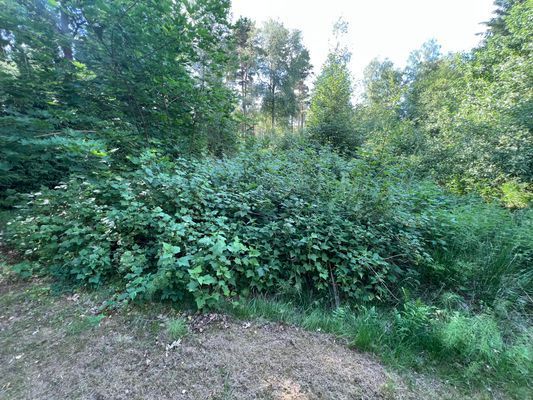 Nyrenoverad stuga nära sjön - Bild 22