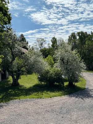 Norrgård en lyxig lägenhet på landet - Bild 33