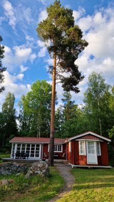 Nyrenoverad stuga med egen brygga - Bild 40