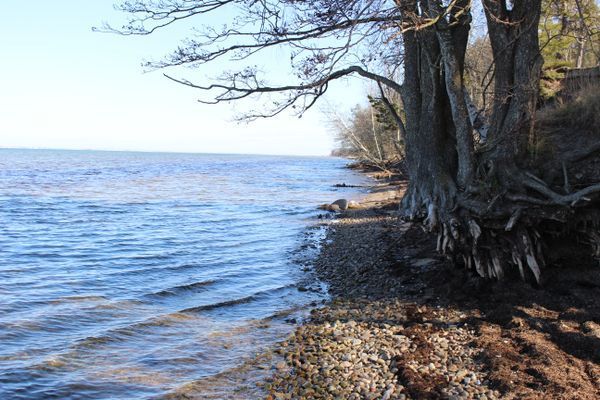 Lilla Sommarnöjet - Bild 10