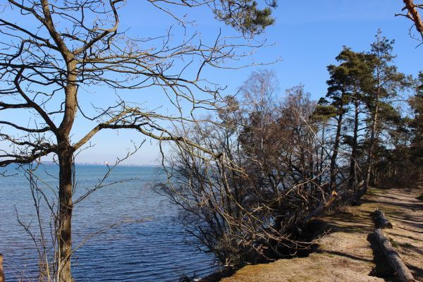 Lilla Sommarnöjet - Bild 11