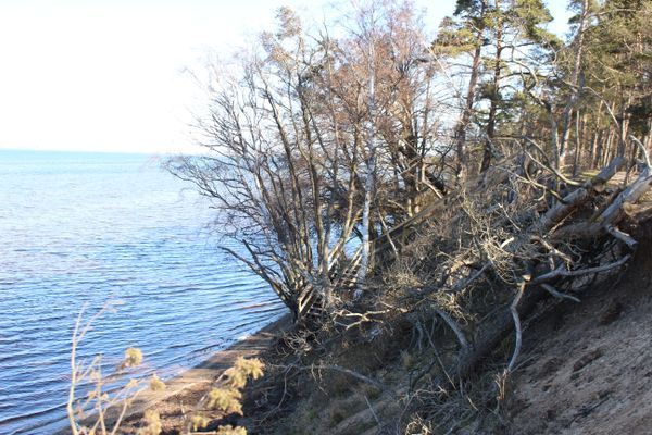 Lilla Sommarnöjet - Bild 13