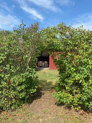 Bild 4 på Charmig stuga i Mörbylånga på Öland