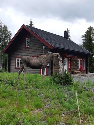 Bo nytt och fräscht i genuina Grövelsjöfjällen! - Bild 37